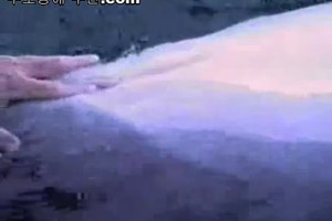 보지넷 야동 사이트