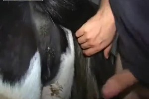 보지넷 야동 사이트