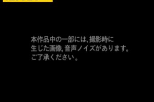 보지넷 야동 사이트