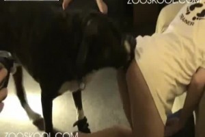 보지넷 야동 사이트