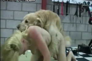 보지넷 야동 사이트