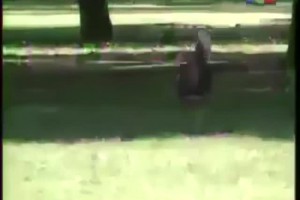 보지넷 야동 사이트