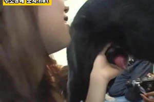 보지넷 야동 사이트