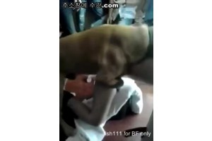 보지넷 야동 사이트