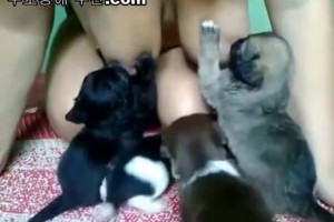 보지넷 야동 사이트