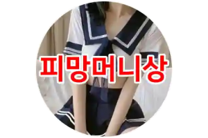 보지넷 야동 사이트