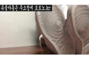 보지넷 야동 사이트