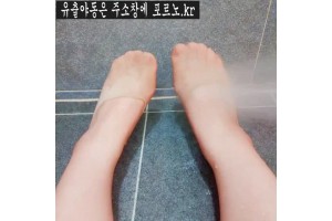 보지넷 야동 사이트