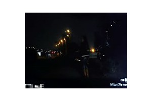 보지넷 야동 사이트