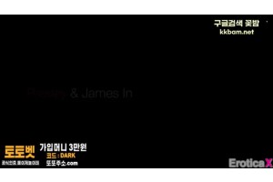 보지넷 야동 사이트