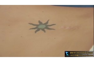 보지넷 야동 사이트