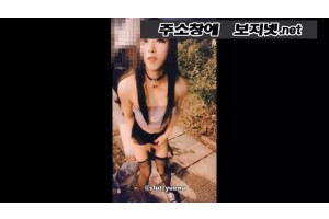 보지넷 야동 사이트