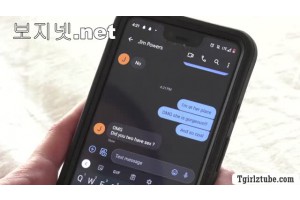 보지넷 야동 사이트