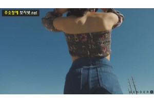 보지넷 야동 사이트