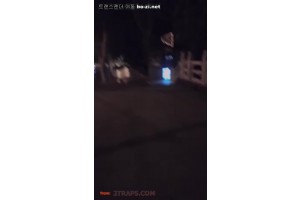 보지넷 야동 사이트