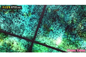 보지넷 야동 사이트