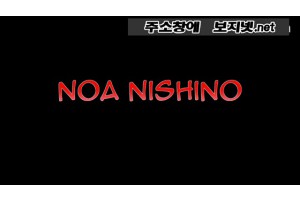 보지넷 야동 사이트