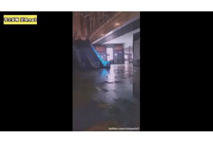 보지넷 야동 사이트